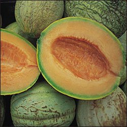 MELON***AMISH*******HEIRLOOM*******30 SEED