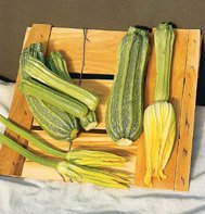 ZUCHINNI**COSTATA ROMANESCO***HEIRLOOM****10 SEED
