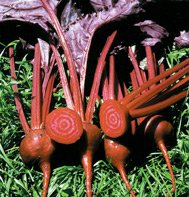 BEET*BULL'S BLOOD**HEIRLOOM & ORGANIC***100 SEED