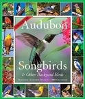 365 Audubon Songbirds a Year 2008 Wall Calendar
