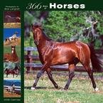 365 Days of Horses 2008 Wall Calendar
