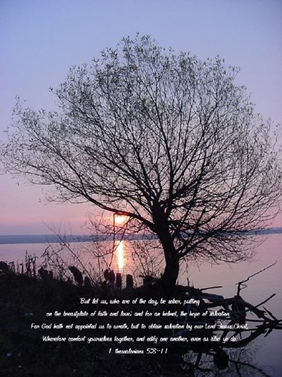 Amidst The Dawning**8"x10"***Framed Art***Thes. 5:8-11