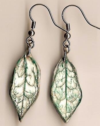 Leaf Veins
