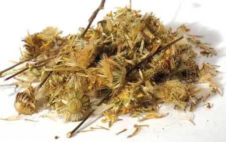 1lb Whole Arnica