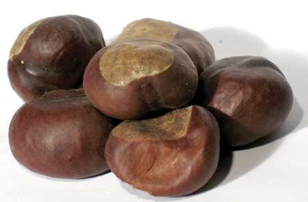 1lb Buckeyes Whole
