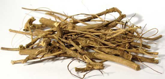 1lb Devil's Shoestring