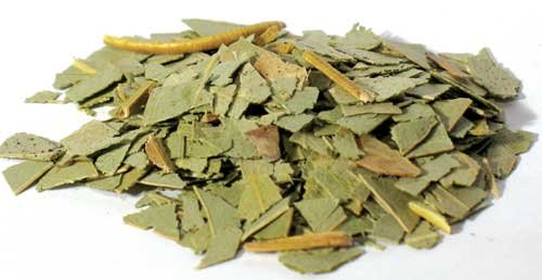 1lb Eucalyptus Cut