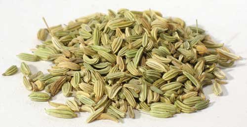 1lb Fennel Seed