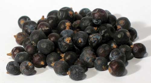 1lb Juniper Berries