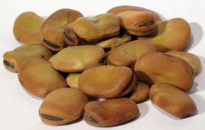 1lb Mojo Wish Bean