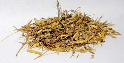 1lb Witches Grass cut