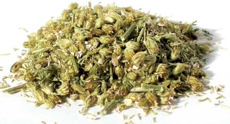 1lb Yarrow Flower