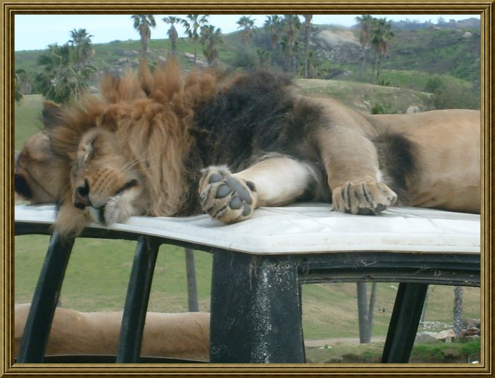 Sleep