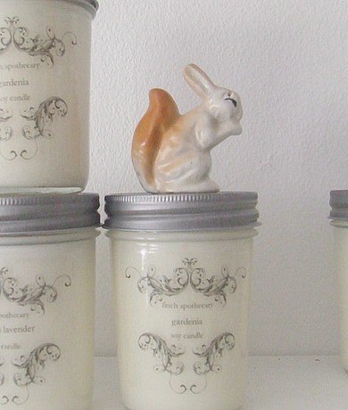 gardenia candle / 8 oz