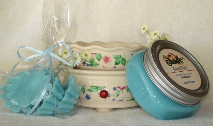 Candle Warmer/Burner Combo, Soy Melts & Soy Wickless