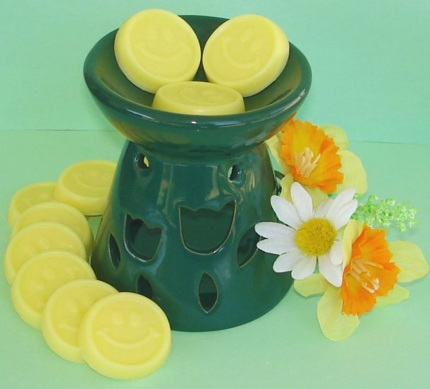 Candle Gift Set - 12 Scented, Soy Wax Smilie Melties & Tart Burner
