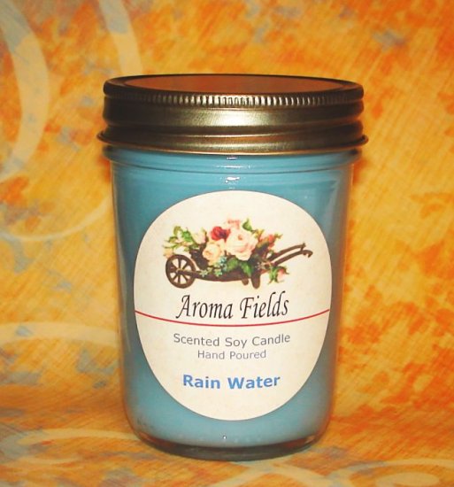 Rain Water - Highly Scented Soy Candle