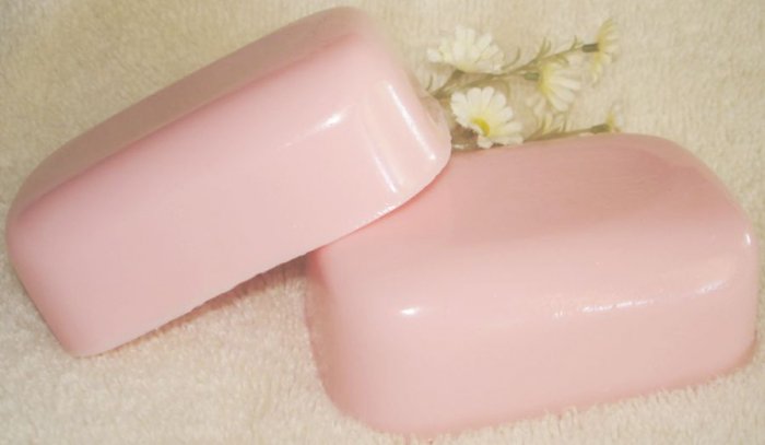 Fresh Apple Slices - All Natural Goat Milk Soap