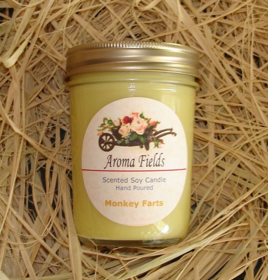 SALE - Monkey Farts - Highly Scented Soy Candle