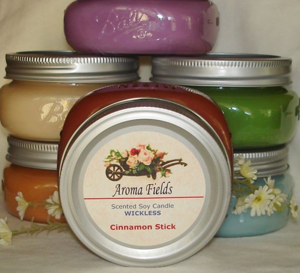 8oz Highly Scented Soy Wickless Candle