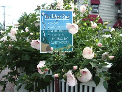 Cape Cod Devine