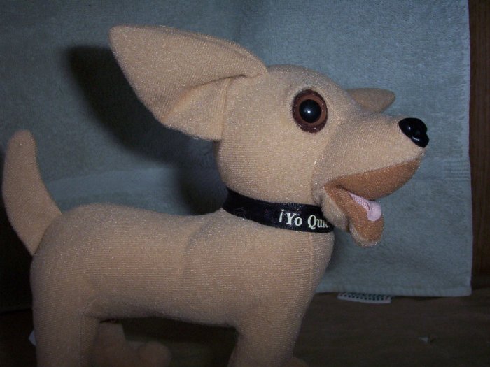 Talking Taco Bell Dog