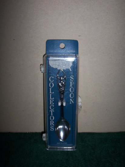 Texas Spoon Mint in Plastic Box