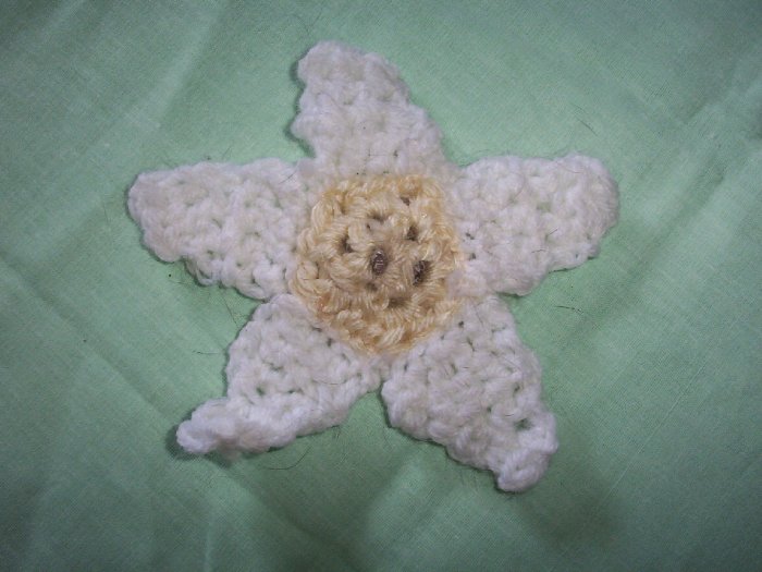 Lil Daisy Catnip Flower Power