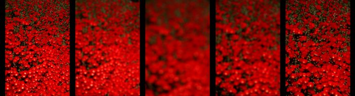 A Study In Red #2 (very limited edition)