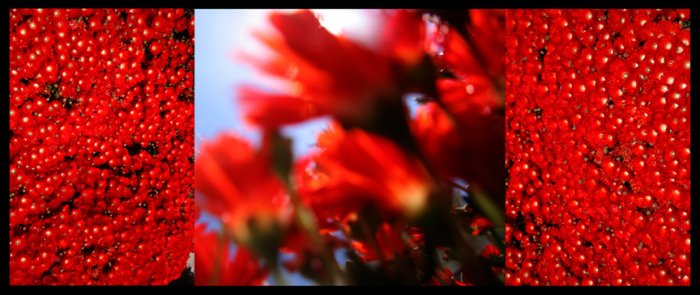 A Study In Red #1 (very limited edition)