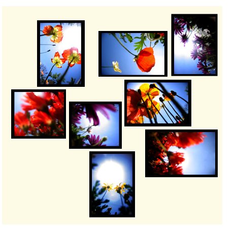 "Flowers" custom wall collage (8 framed pieces)