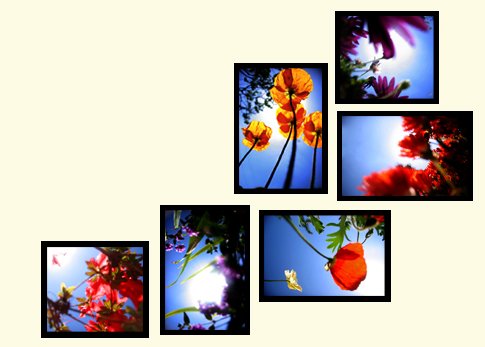 "Flowers" custom wall collage (6 framed pieces)