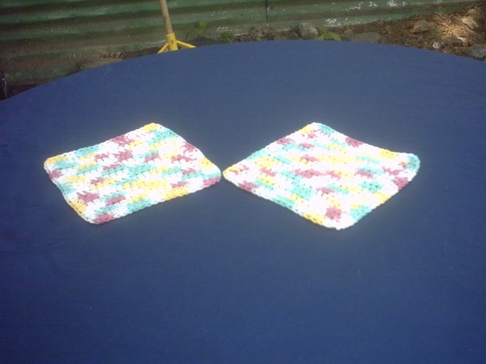 SET OF 2 DISH CLOTHES