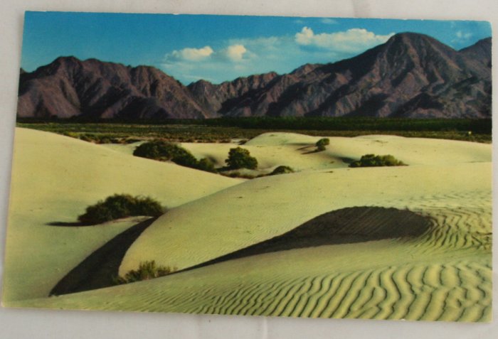 "Sand Dunes" VINTAGE POSTCARD Palm Springs California