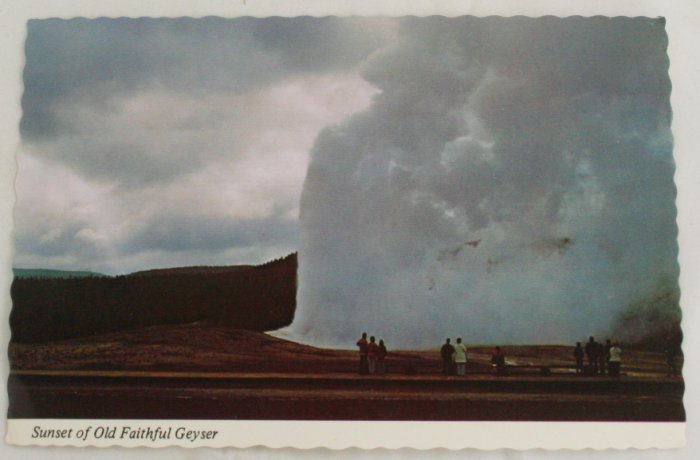 "Sunset Old Faithful" 60s VINTAGE POSTCARD Yellowstone
