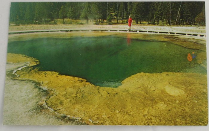 "Emerald Pool" 50s VINTAGE POSTCARD Yellowstone