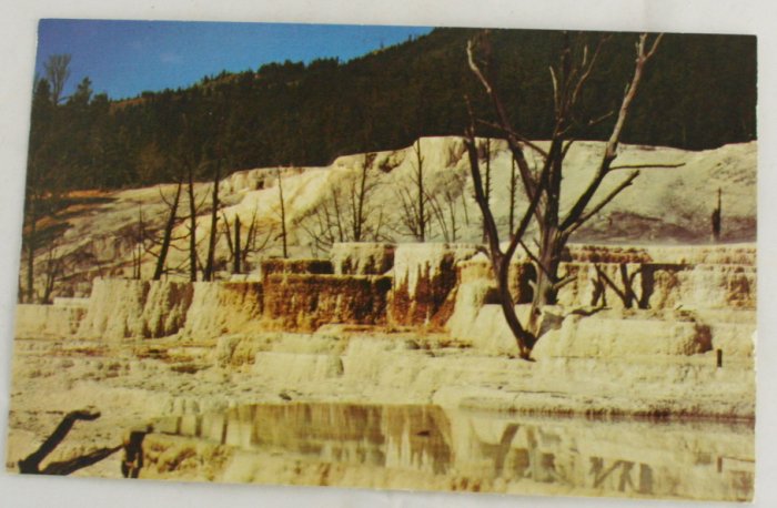 "Angel Terrace" 50s VINTAGE POSTCARD Yellowstone