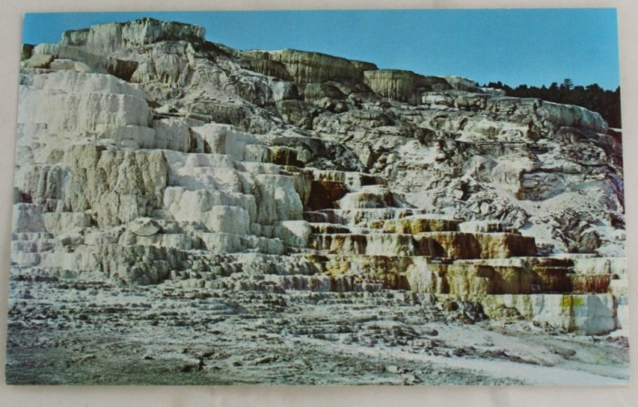 "Minerva Terrace" 50s VINTAGE POSTCARD Yellowstone