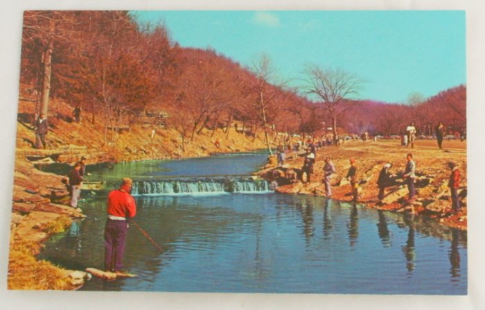 "Roaring River" VINTAGE POSTCARD Cassville Missouri
