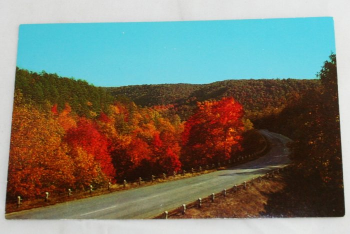Roaring River State Park VINTAGE POSTCARD Arkansas