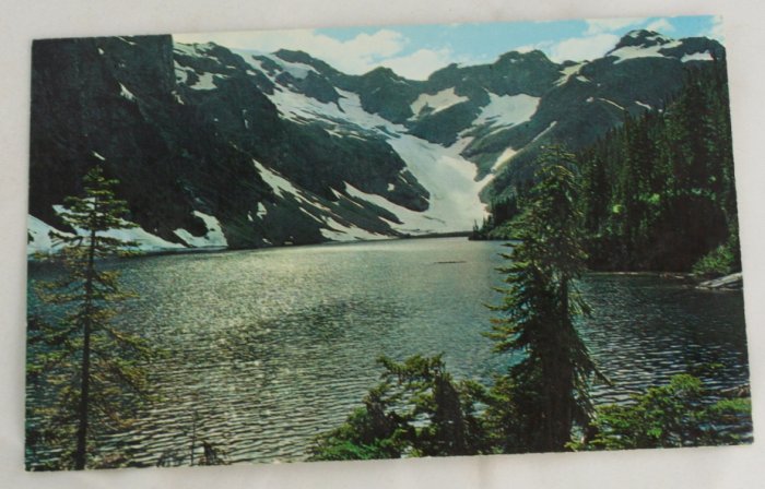 POSTCARD "Trapper Lake" VINTAGE Trapper Lake Washington