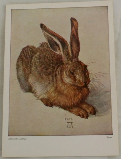 POSTCARD German-Albrecht Durer "Hase"