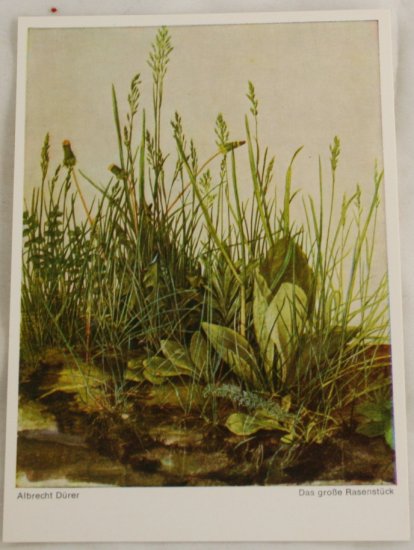POSTCARD Germany-Albrecht Durer-Grasses, Leaves