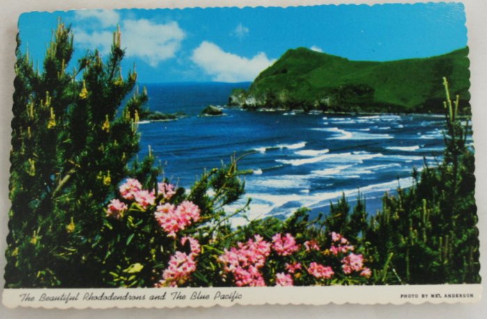 POSTCARD Oregon Coastline, Rhododendrons, Pacific