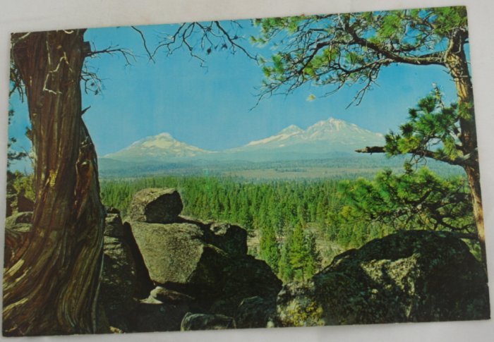 VINTAGE POSTCARD Three Sisters Mountains, Central Oregon, OR