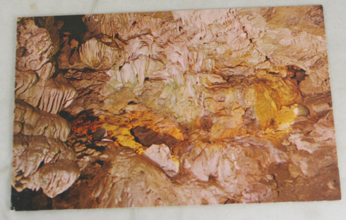 VINTAGE POSTCARD Oregon Caves Natl Monument,Garden