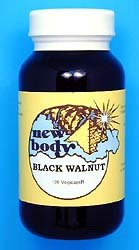 Black Walnut (Juglans nigra)