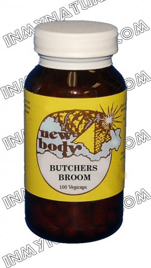 Butcher's Broom (Ruscus aculeatus)
