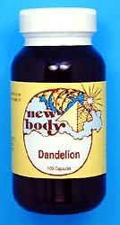Dandelion (Taraxacum officinale)