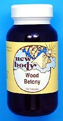 Wood Betony (Betonica officinalis)
